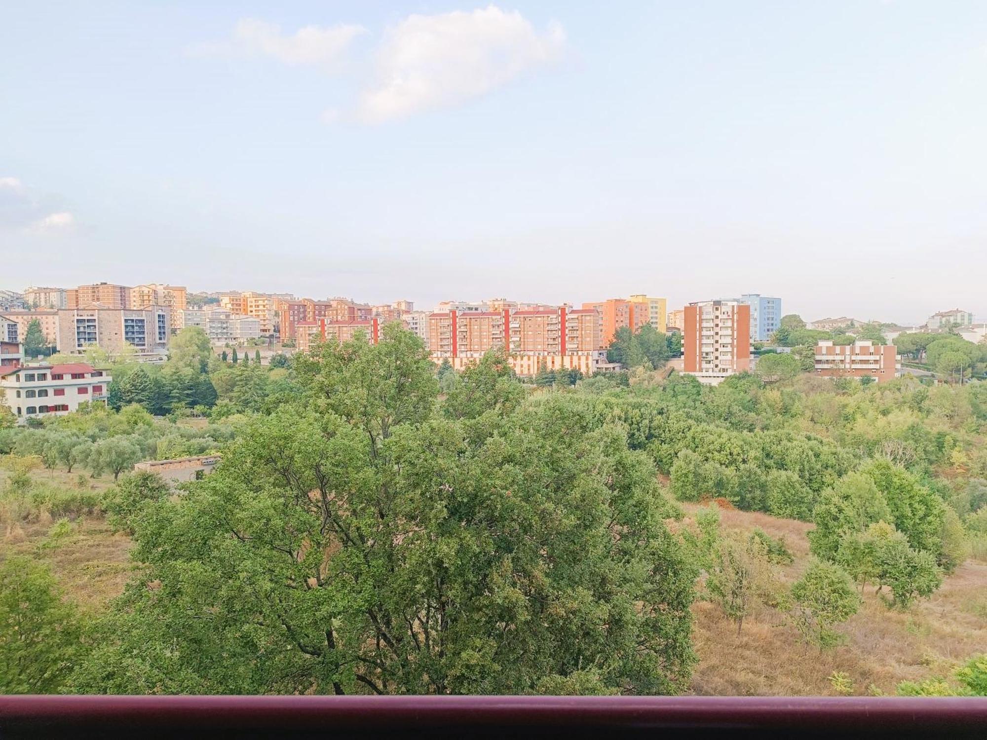 Pirandello45 - Zona Universitaria